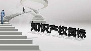 企業(yè)實行知識產(chǎn)權(quán)貫標(biāo)后 作用竟有這么大！