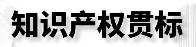 知識產(chǎn)權(quán)貫標(biāo)認證機構(gòu) 知識產(chǎn)權(quán)貫標(biāo)各地資助政策